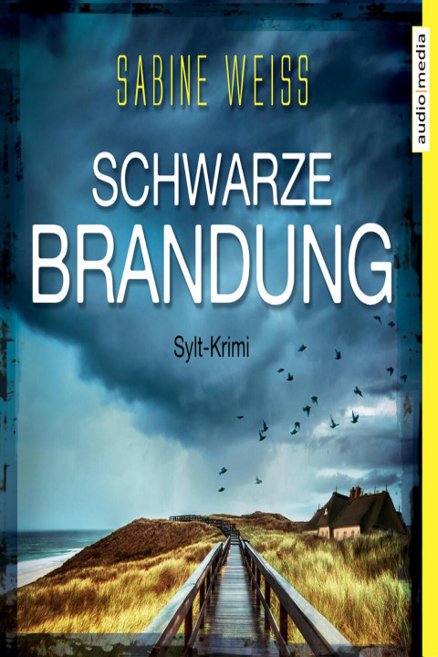 Omslag: Schwarze Brandung