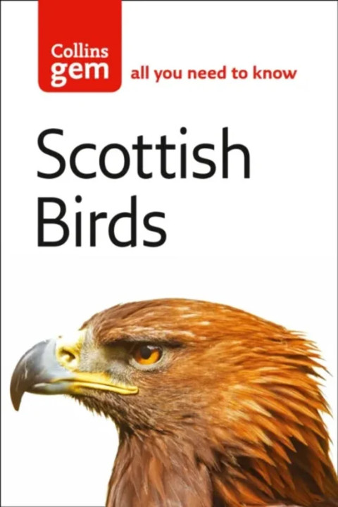 Omslag: Scottish Birds