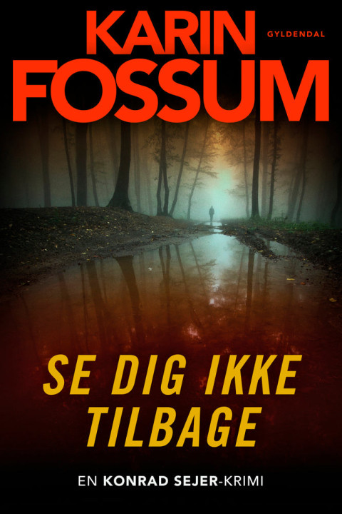 Omslag: Se dig ikke tilbage