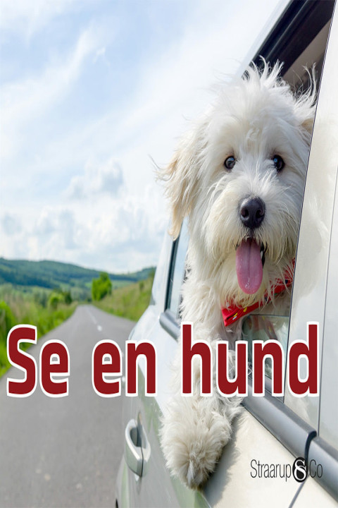 Omslag: Se en hund