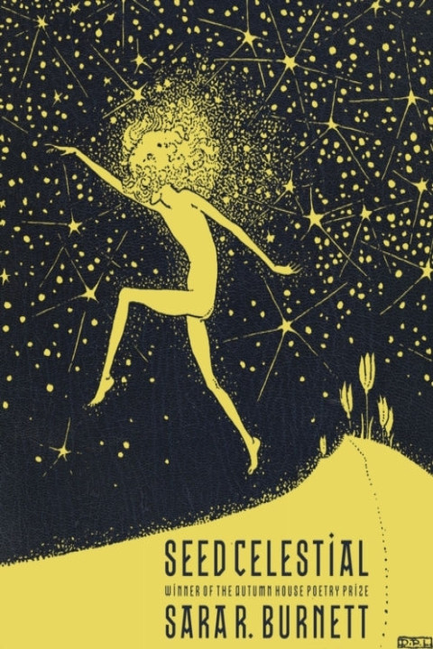 Omslag: Seed Celestial