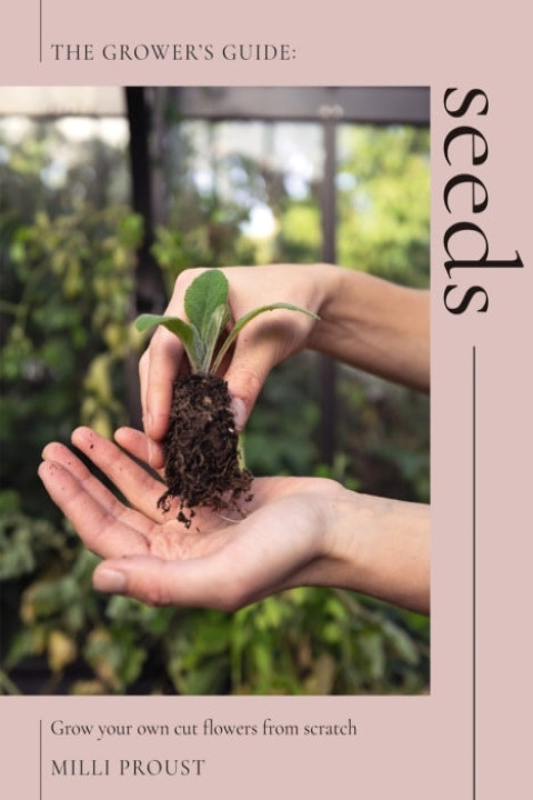 Omslag: Seeds