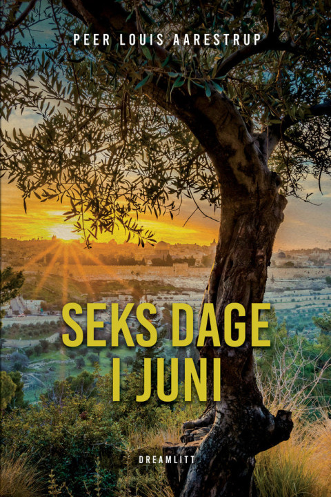 Omslag: Seks dage i juni
