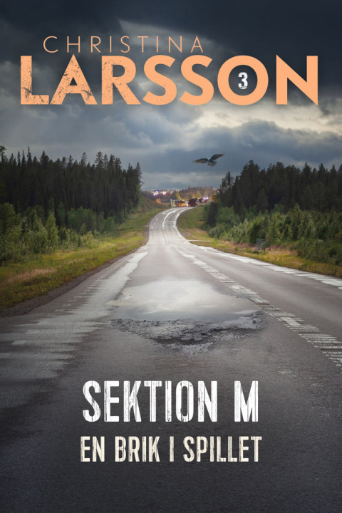 Omslag: Sektion M - 3