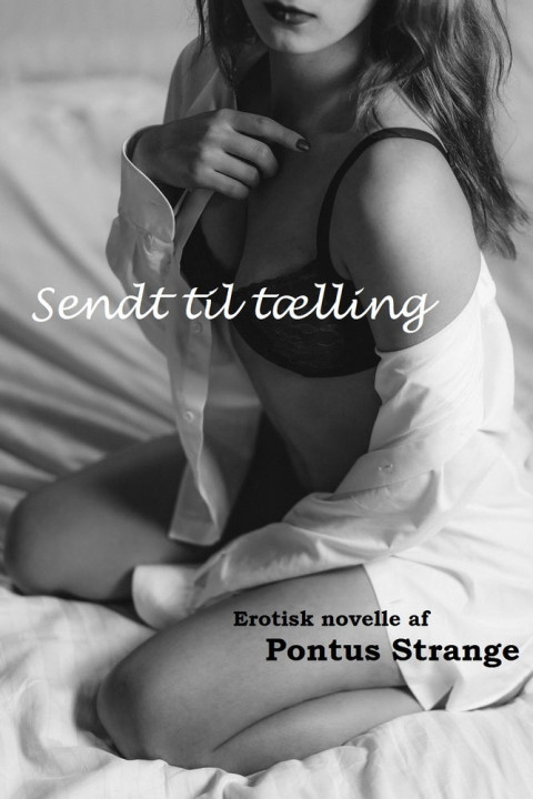 Omslag: Sendt til tælling