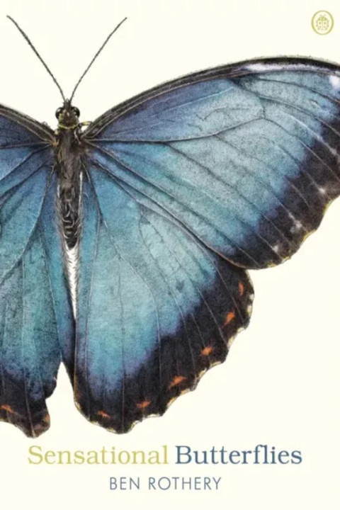 Omslag: Sensational Butterflies