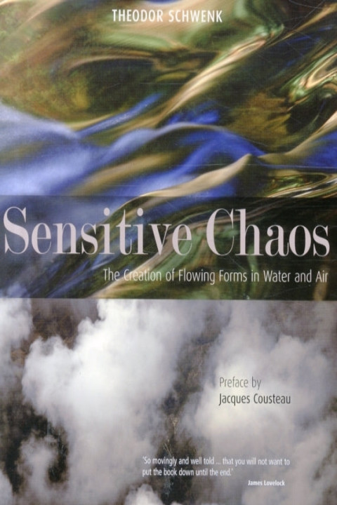 Omslag: Sensitive Chaos