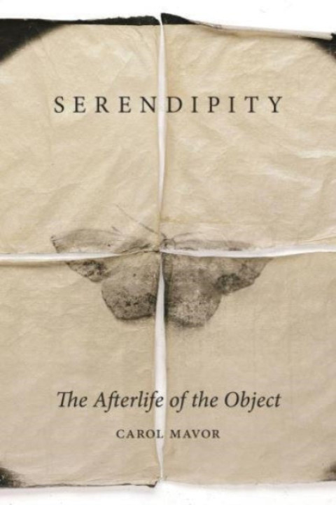 Omslag: Serendipity