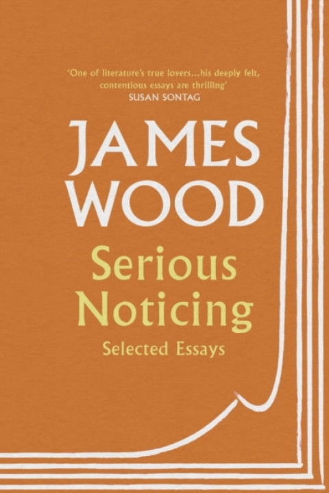 Omslag: Serious Noticing
