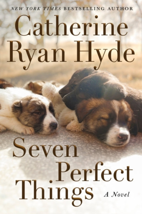 Omslag: Seven Perfect Things