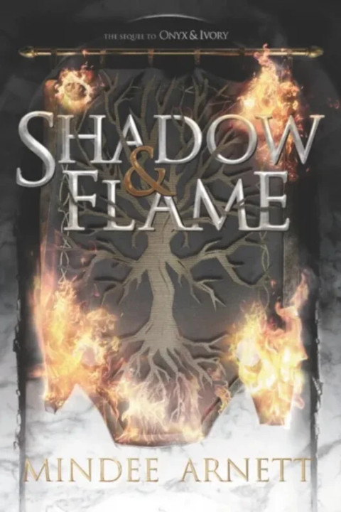 Omslag: Shadow & Flame