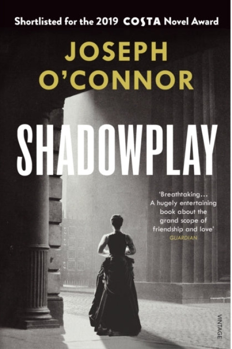 Omslag: Shadowplay