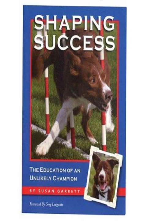 Omslag: Shaping Success
