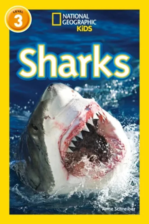 Omslag: Sharks - Level 3