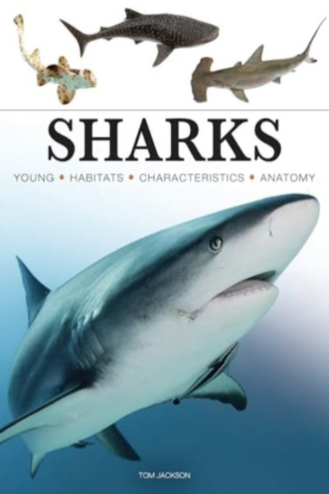Omslag: Sharks & Underwater Predators