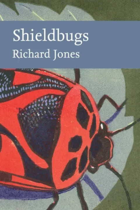 Omslag: Shieldbugs