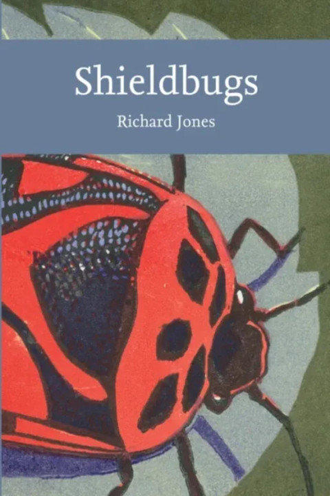Omslag: Shieldbugs