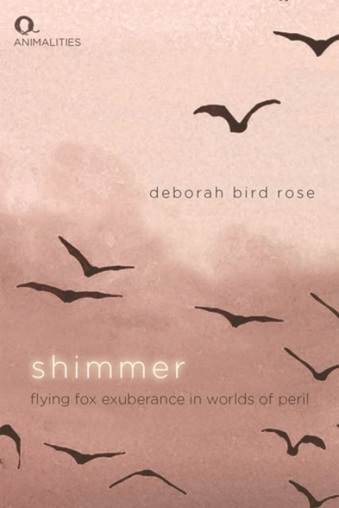 Omslag: Shimmer