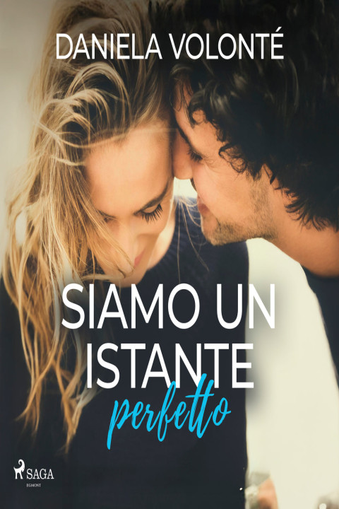 Omslag: Siamo un istante perfetto