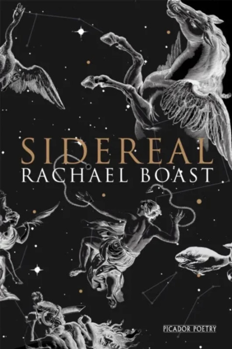 Omslag: Sidereal