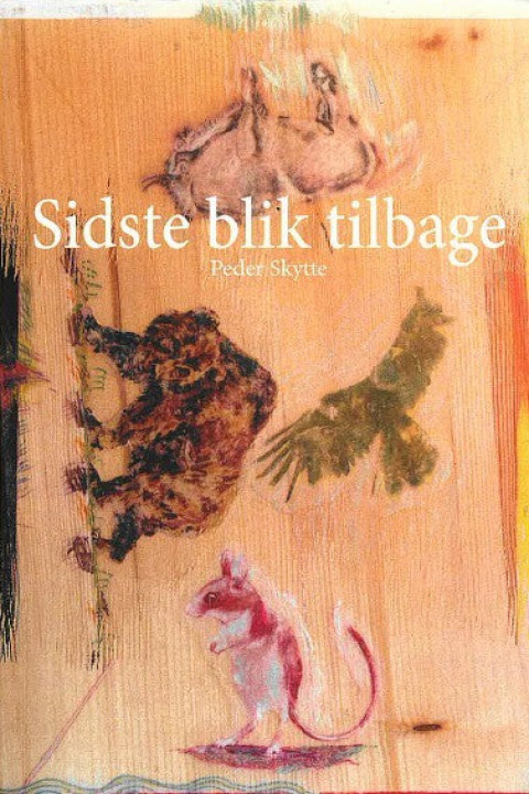 Omslag: Sidste blik tilbage