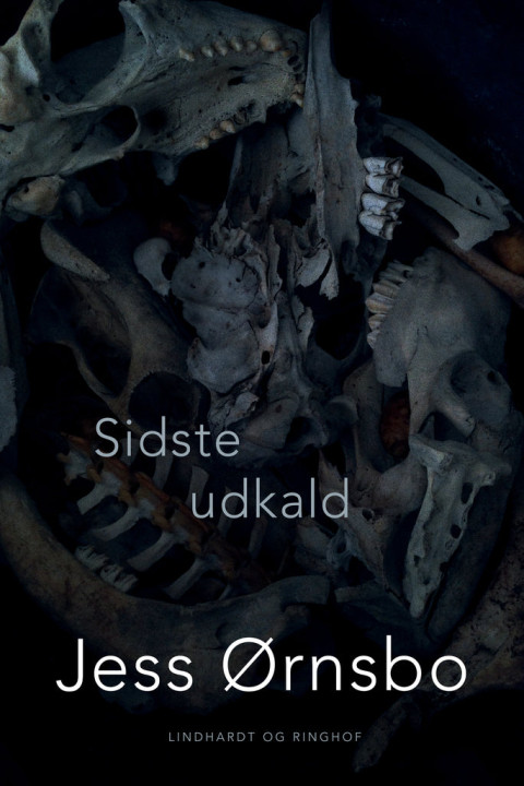 Omslag: Sidste udkald