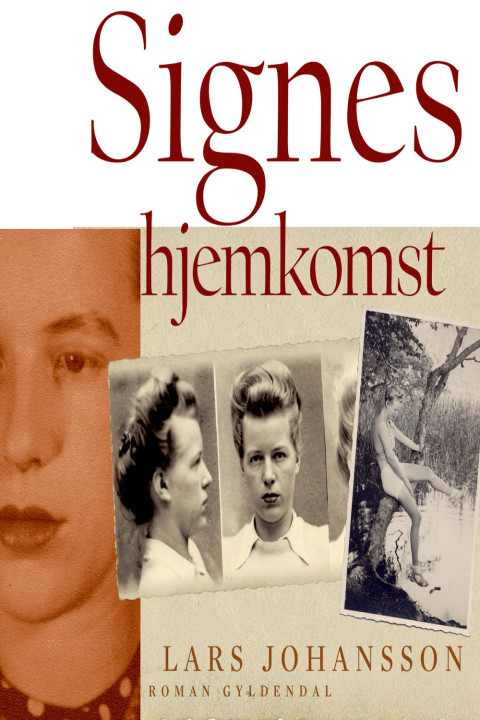 Omslag: Signes hjemkomst