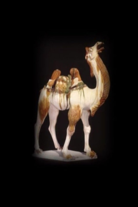 Omslag: Silk Roads