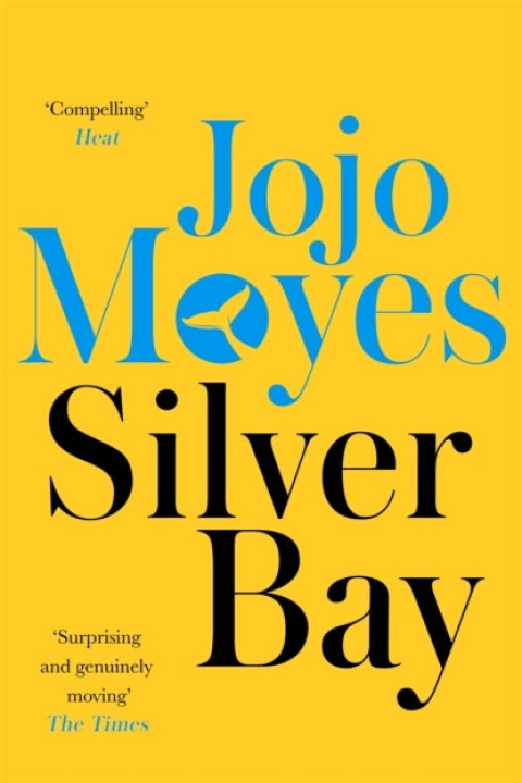 Omslag: Silver Bay