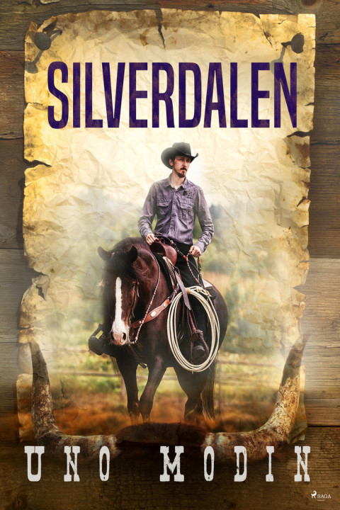 Omslag: Silverdalen