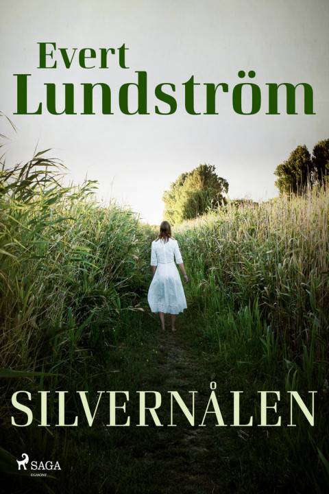 Omslag: Silvernålen