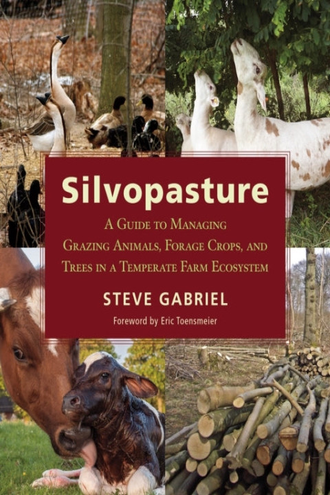 Omslag: Silvopasture