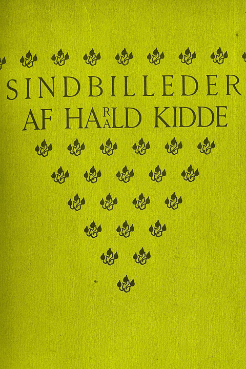 Omslag: Sindbilleder
