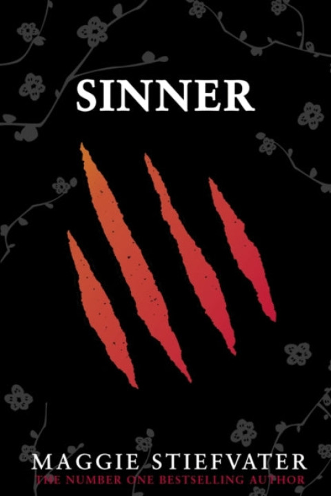 Omslag: Sinner