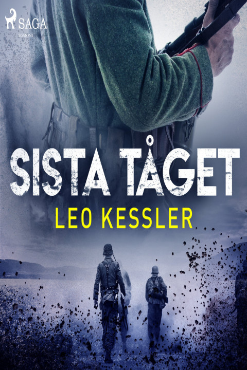 Omslag: Sista tåget