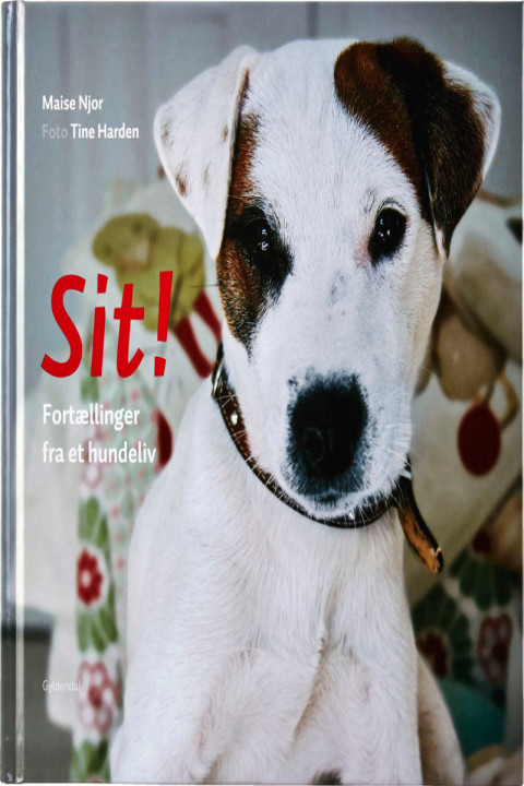 Omslag: Sit!