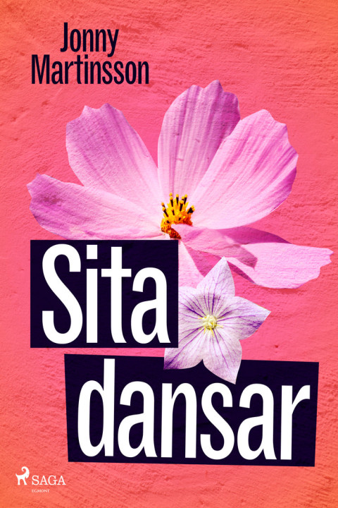 Omslag: Sita dansar
