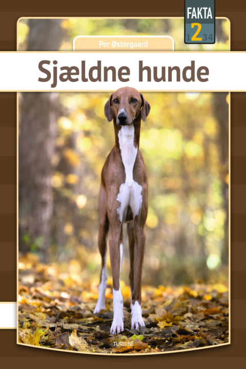 Omslag: Sjældne hunde