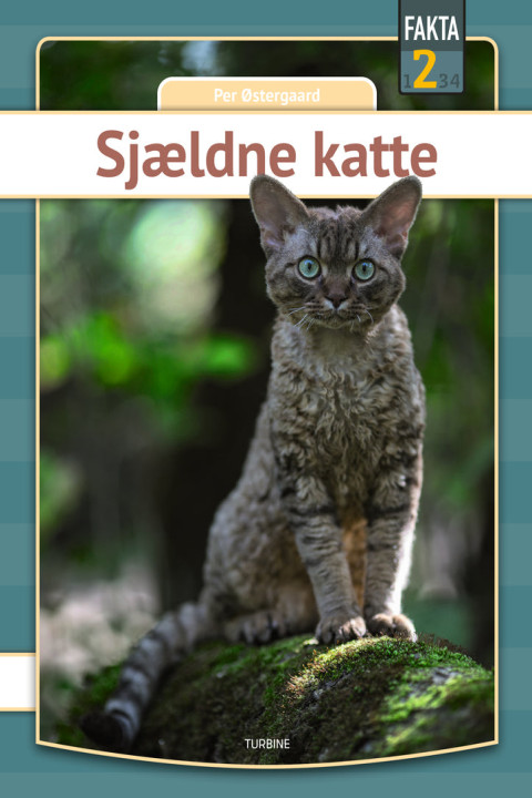 Omslag: Sjældne katte