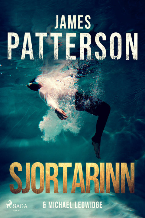 Omslag: Sjortarinn