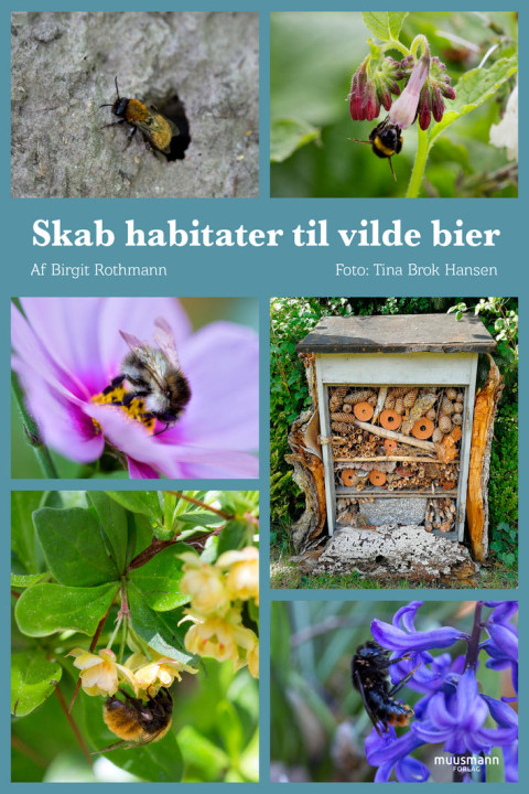 Omslag: Skab habitater til vilde bier