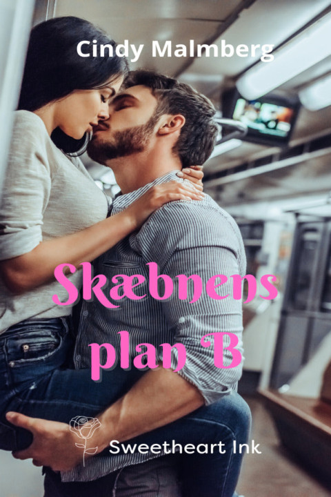 Omslag: Skæbnens plan B