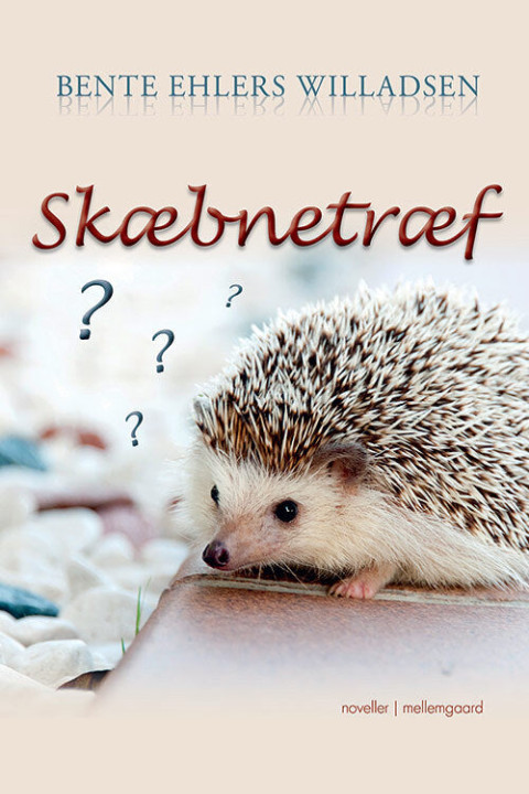 Omslag: Skæbnetræf