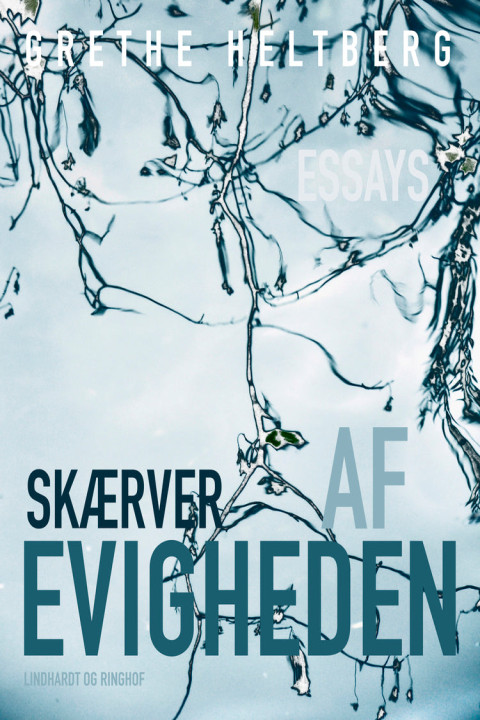 Omslag: Skærver af evigheden