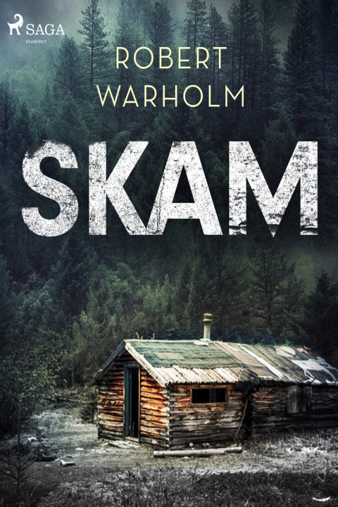 Omslag: Skam