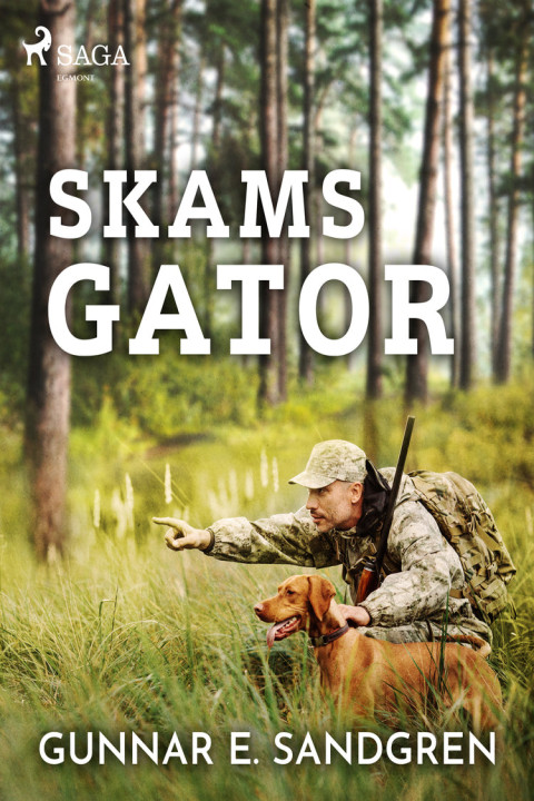 Omslag: Skams gator