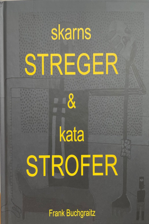 Omslag: Skarnsstreger og katastrofer