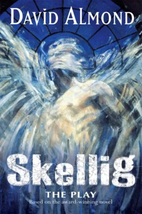 Omslag: Skellig The Play