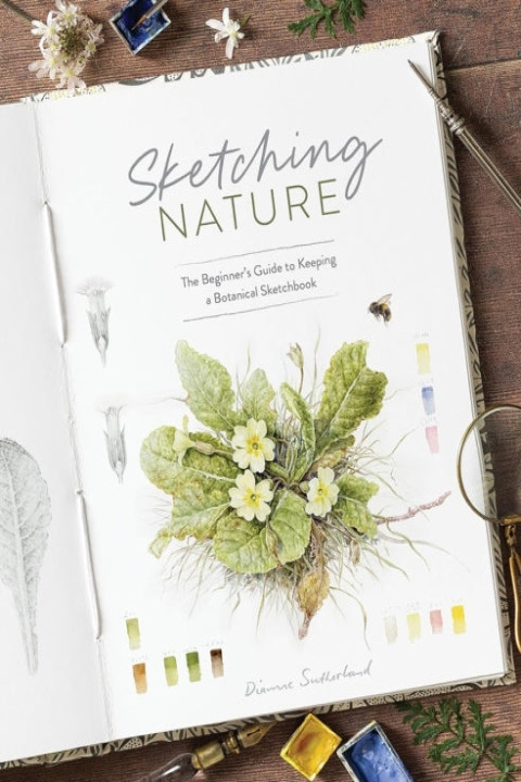 Omslag: Sketching Nature