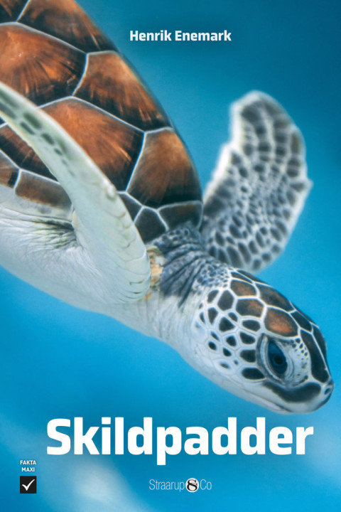Omslag: Skildpadder